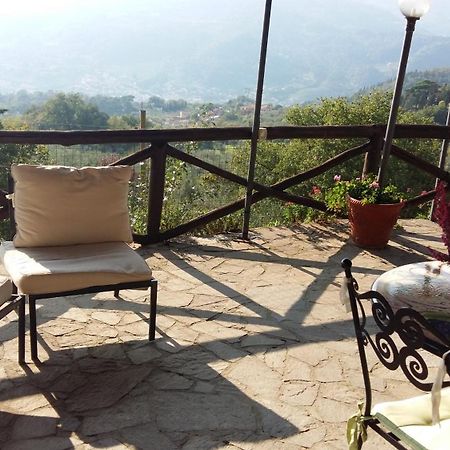 Locanda Verde Vaiano  Luaran gambar